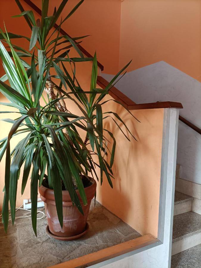 Albergo Roma Gattico ภายนอก รูปภาพ